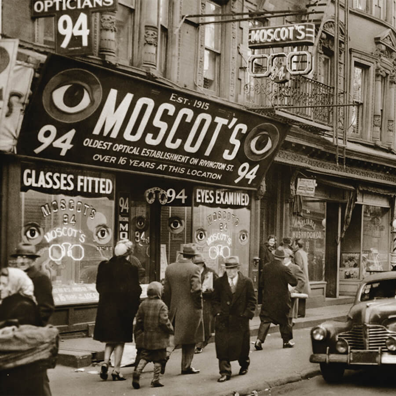 moscot_catanzaro